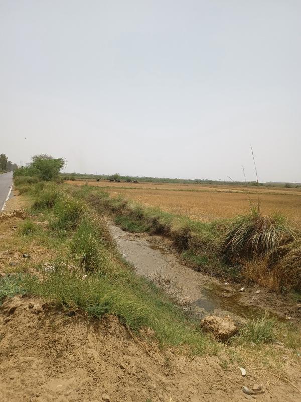  Agricultural Land 100 Acre for Sale in Sohna Palwal Road, Sohna Palwal Road, Gurgaon