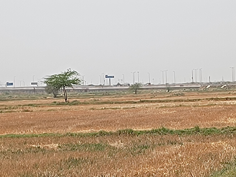  Agricultural Land 25 Acre for Sale in Sohna Palwal Road, Sohna Palwal Road, Gurgaon