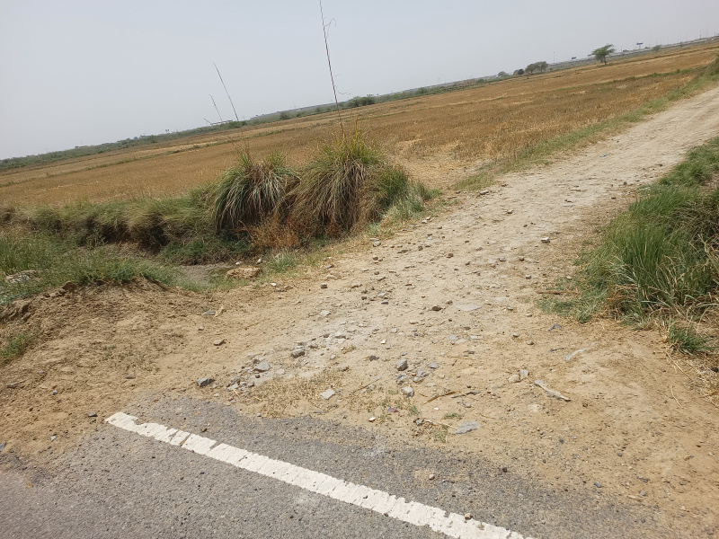  Agricultural Land 2 Acre for Sale in Sohna Palwal Road, Sohna Palwal Road, Gurgaon