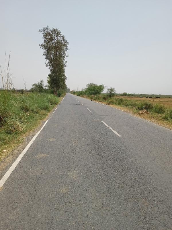  Agricultural Land 5 Acre for Sale in Sohna Palwal Road, Sohna Palwal Road, Gurgaon