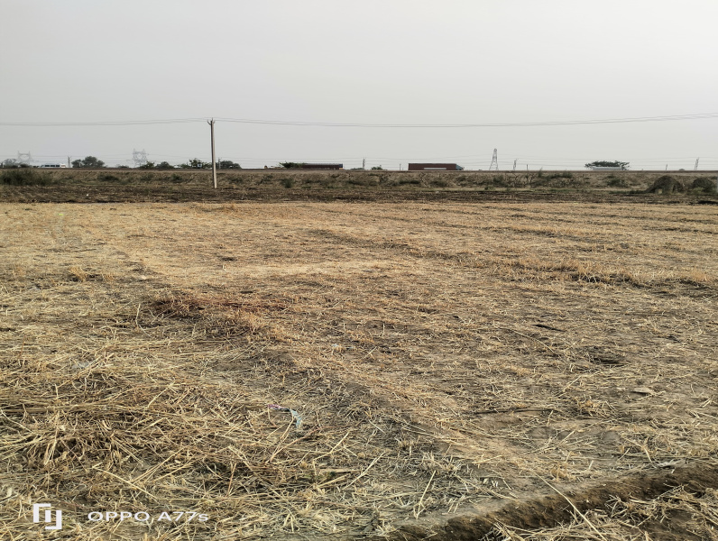  Agricultural Land 2 Acre for Sale in Taoru, Gurgaon