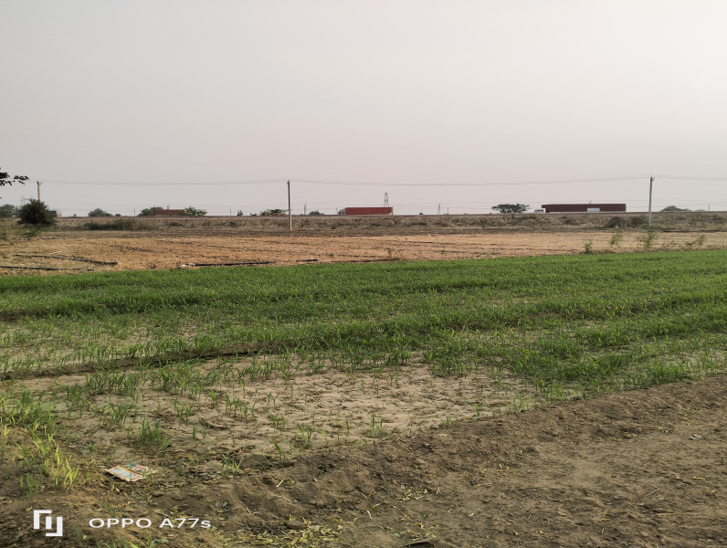  Agricultural Land 3 Acre for Sale in Taoru, Gurgaon