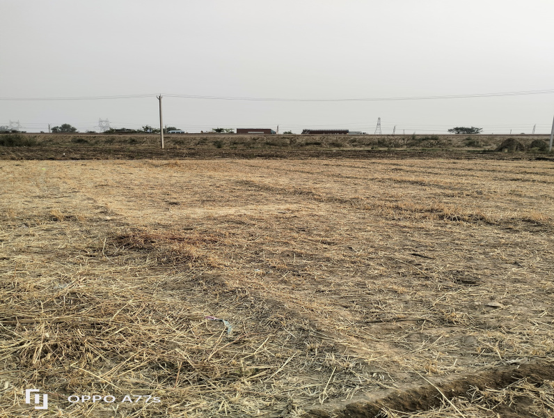  Agricultural Land 3 Acre for Sale in Taoru, Gurgaon