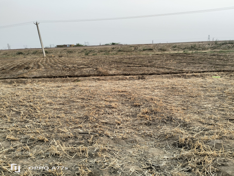  Agricultural Land 4 Acre for Sale in Taoru, Gurgaon