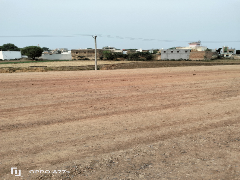 Agricultural Land 6 Acre for Sale in Taoru, Gurgaon