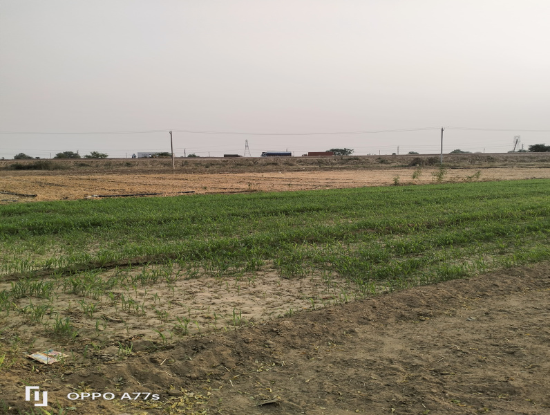  Residential Plot 60 Sq. Yards for Sale in Sector 49 Gurgaon