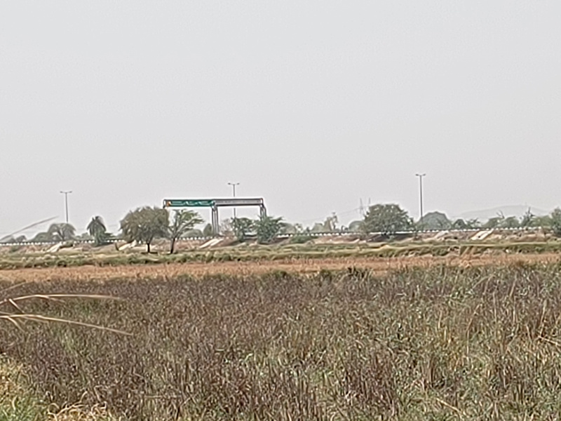  15 Acre Agricultural/Farm Land for Sale in Jakhoda, Jhajjar