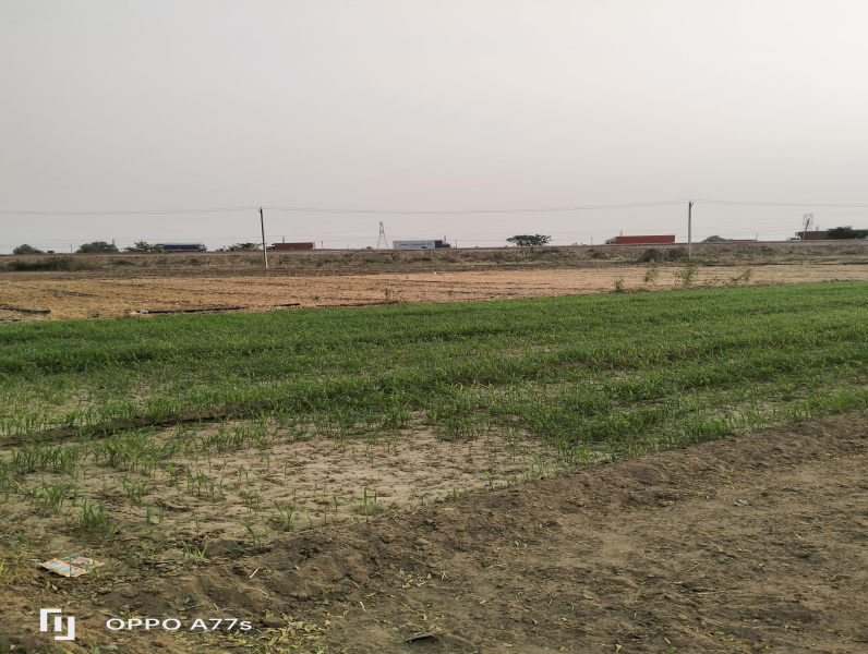  30 Acre Agricultural/Farm Land for Sale in Loharu, Bhiwani