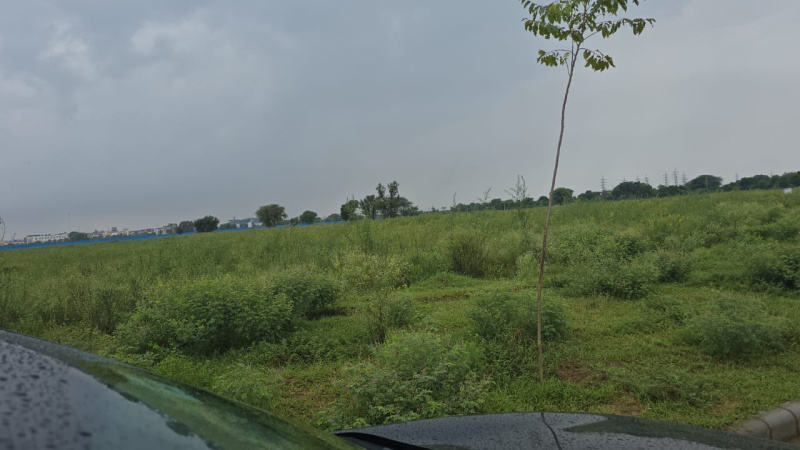  20 Acre Agricultural/Farm Land for Sale in Loharu, Bhiwani