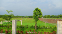  Residential Plot for Sale in Ranidanga, Siliguri