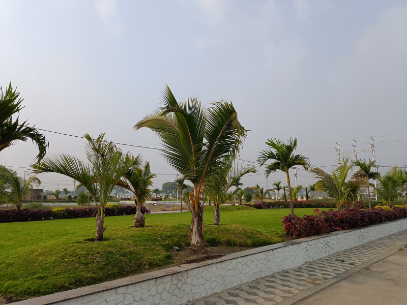  Residential Plot 600 Sq.ft. for Sale in Magarkheda, Indore