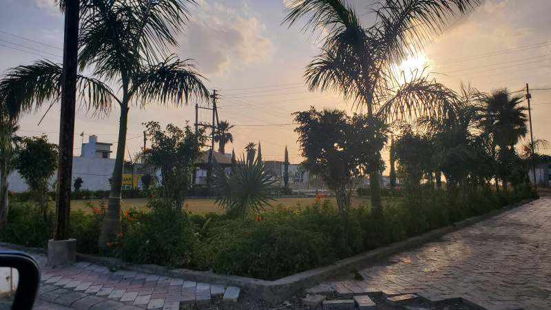  Residential Plot 600 Sq.ft. for Sale in Sawer, Indore