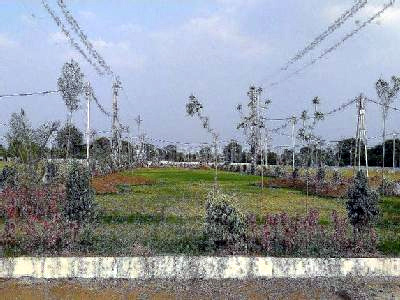  Residential Plot 750 Sq.ft. for Sale in Sawer, Indore