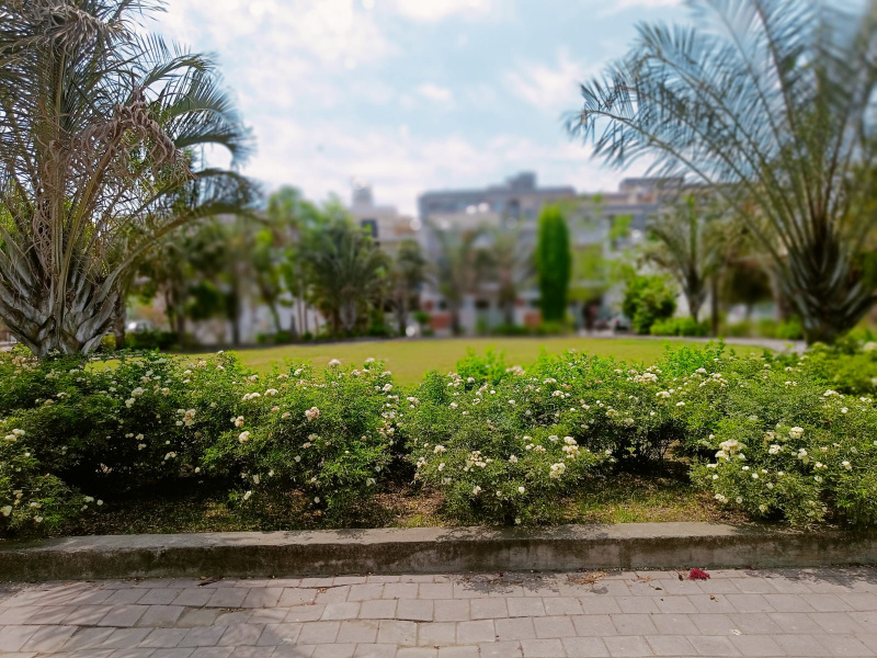  1250 Sq.ft. Residential Plot for Sale in Bhawrasla, Indore