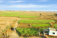  Residential Plot for Sale in Gopalmath, Durgapur