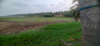  Agricultural Land for Sale in Narsapur, West Godavari