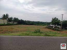Commercial Land 20 Cent for Sale in Velanthavalam, Palakkad