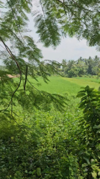 Residential Plot for Sale in Shyampur, Howrah