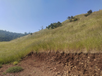 Residential Plot for Sale in Jawali, Mahabaleshwar