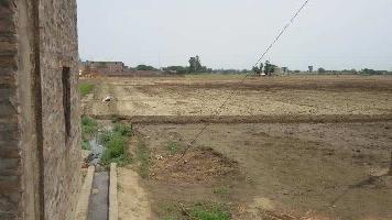  Industrial Land for Sale in Machhiwara, Ludhiana