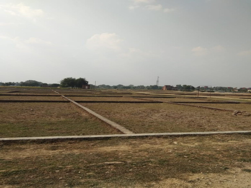  Residential Plot 1500 Sq.ft. for Sale in Chakarbhatha, Bilaspur