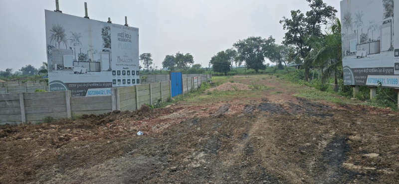  Commercial Land 2239 Sq.ft. for Sale in Sendri, Bilaspur