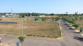  Residential Plot for Sale in Rajkishore Nagar, Bilaspur