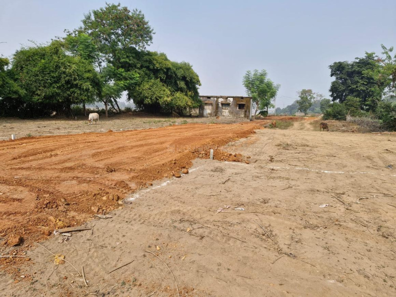  Residential Plot 1250 Sq.ft. for Sale in Koni, Bilaspur