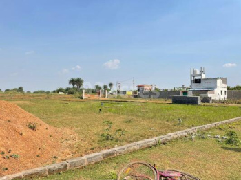  Residential Plot for Sale in Koni, Bilaspur