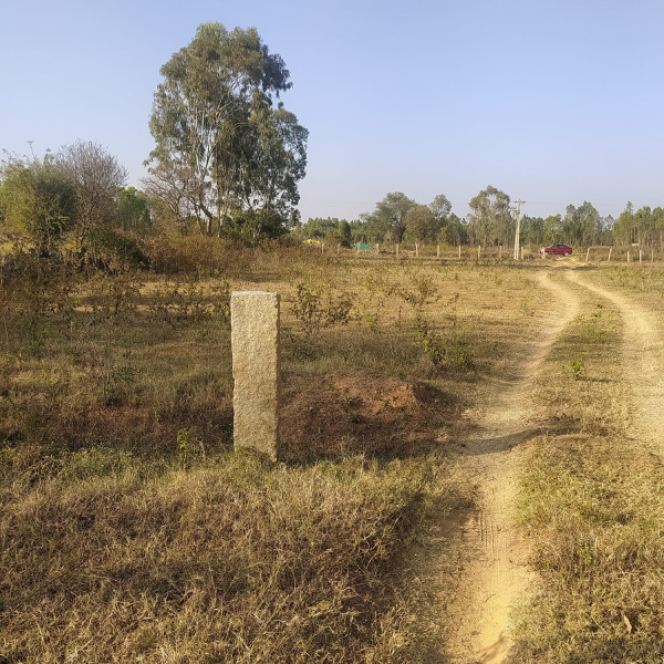  Residential Plot 86 Acre for Sale in Kharsia, Raigarh