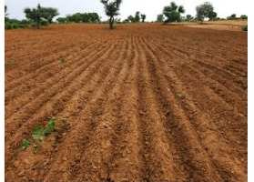  Residential Plot 86 Acre for Sale in Kharsia, Raigarh