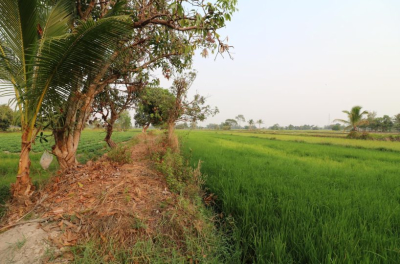  Residential Plot 96 Acre for Sale in Gharghoda, Raigarh