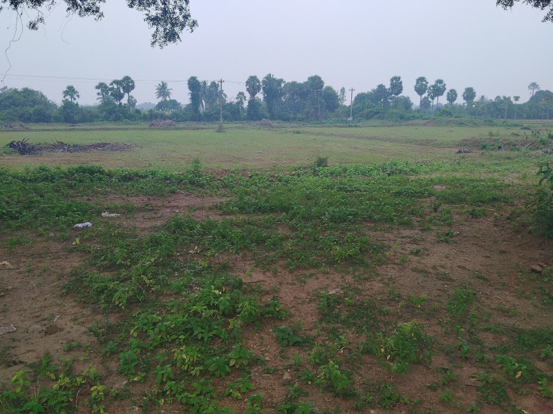  Residential Plot 96 Acre for Sale in Gharghoda, Raigarh