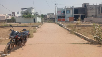  Commercial Land for Sale in Mopka, Bilaspur