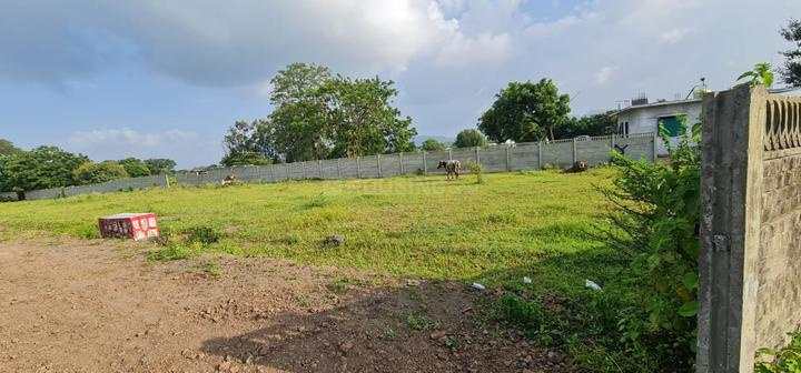  Residential Plot 1000 Sq.ft. for Sale in Ashok Nagar, Bilaspur