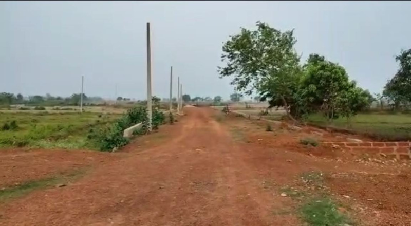  Residential Plot 1110 Sq.ft. for Sale in Mopka, Bilaspur