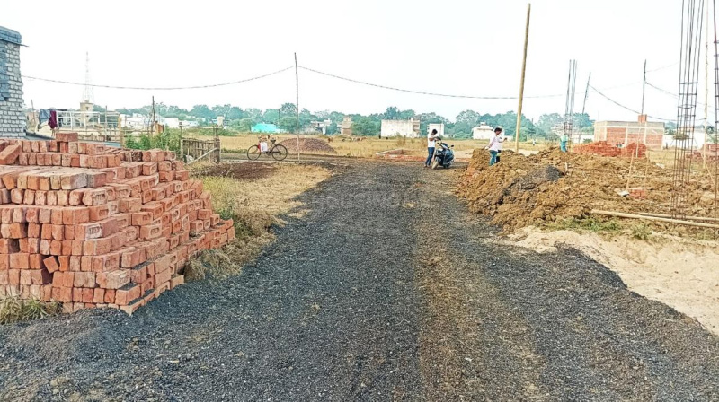  Residential Plot 1700 Sq.ft. for Sale in Koni, Bilaspur