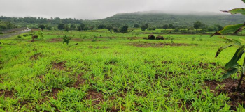  Residential Plot 36 Acre for Sale in Kota Road, Bilaspur