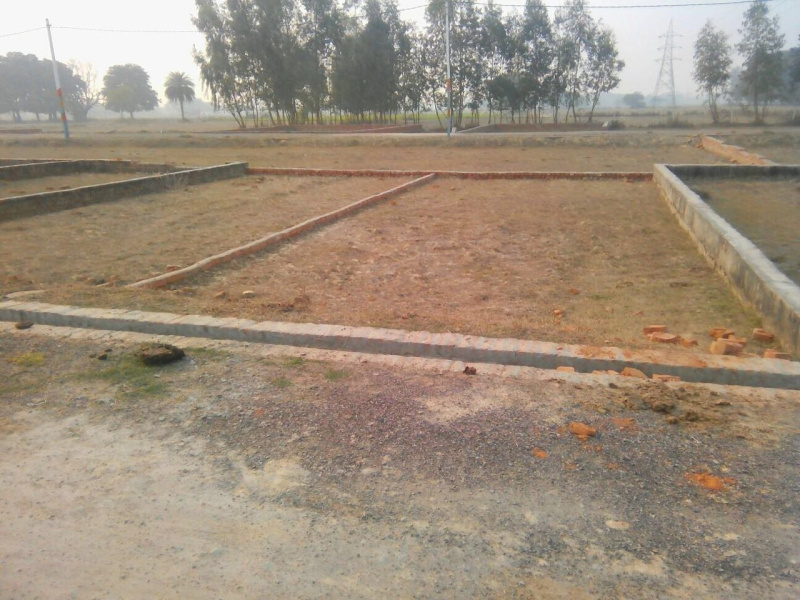  Residential Plot 1200 Sq.ft. for Sale in Chakarbhatha, Bilaspur