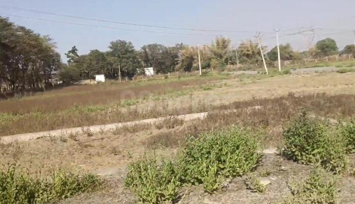  Residential Plot 2100 Sq.ft. for Sale in Lingiyadih, Bilaspur