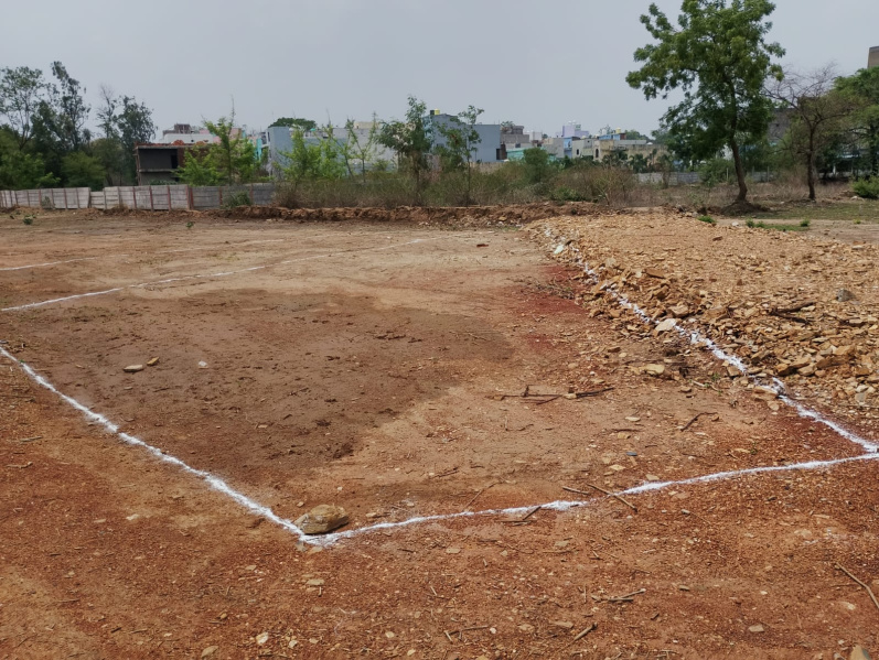  Residential Plot 1500 Sq.ft. for Sale in Koni, Bilaspur