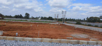  Residential Plot 1000 Sq.ft. for Sale in Ashok Nagar, Bilaspur