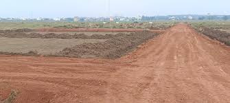  Residential Plot 1500 Sq.ft. for Sale in Mopka, Bilaspur