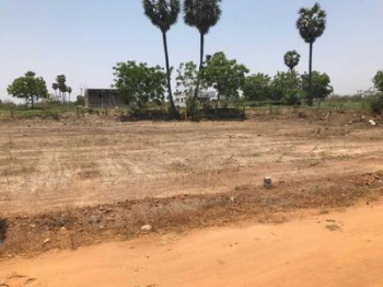  Residential Plot for Sale in Ashok Nagar, Bilaspur