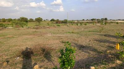  Residential Plot 15 Dismil for Sale in Manendragarh Road, Ambikapur, Surguja
