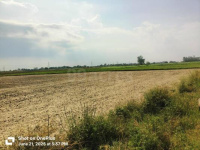  Agricultural Land for Sale in Kota Road, Bilaspur