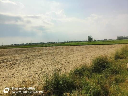  Agricultural Land 2 Acre for Sale in Kota Road, Bilaspur