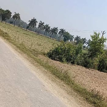  Residential Plot 2000 Sq.ft. for Sale in Mopka, Bilaspur