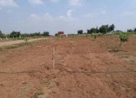  Residential Plot 1000 Sq.ft. for Sale in Bilha, Bilaspur