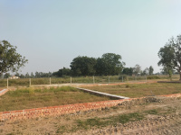  Residential Plot for Sale in Mopka, Bilaspur